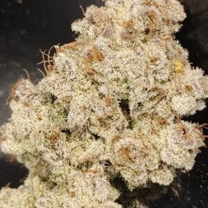 In House Genetics - Snow Flurry (Gold Pack) (Feminized)