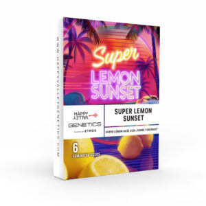Happy Valley Genetics - Super Lemon Sunset (Feminized)