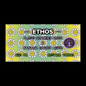 (Freebie) Ethos - Pluto Cookies Auto x Banana Daddy Auto (Autoflower)