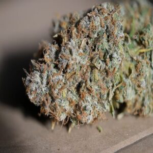 BG Bulk – Jealousy (Feminized) (Photoperiod)