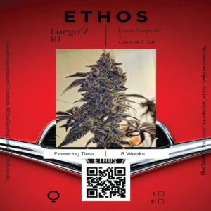 Ethos - Fuego'z R1 (Feminized) | Brotanical Gardens