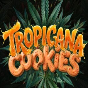 Barney's Farm - Tropicana Cookies F1 Auto (Autoflower)