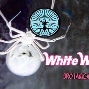 (Freebie) Brotanical Gardens - White Widow (Feminized)