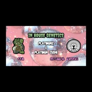 (Freebie) In House Genetics - Platinumz x Platinum Zushi (Feminized)