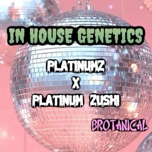 (Freebie) In House Genetics - Platinumz x Platinum Zushi (Feminized)