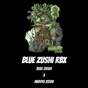 In House Genetics - Blue Zushi RBX (Feminized)