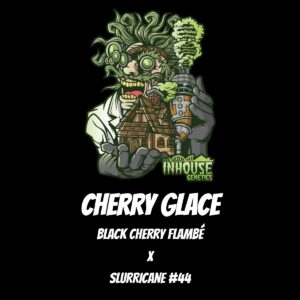 In House Genetics - Cherry Glace (Feminized)