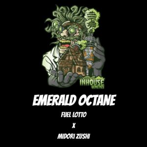 In House Genetics - Emerald Octane (Feminized)