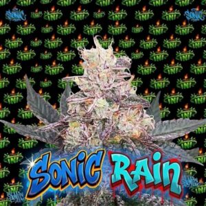 TNT Genetics - Sonic Rain (Feminized) | Brotanical Gardens