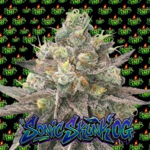 TNT Genetics - Sonic Skunk OG (Feminized) | Brotanical Gardens