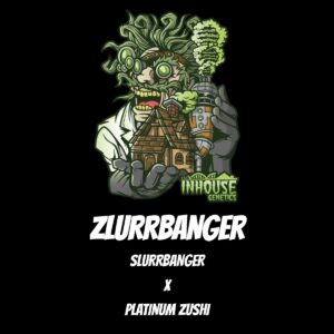 In House Genetics - Zlurrbanger (Feminized)