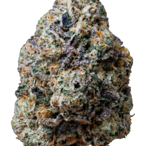 420 Fast Buds – Gary Sherbet (Feminized)