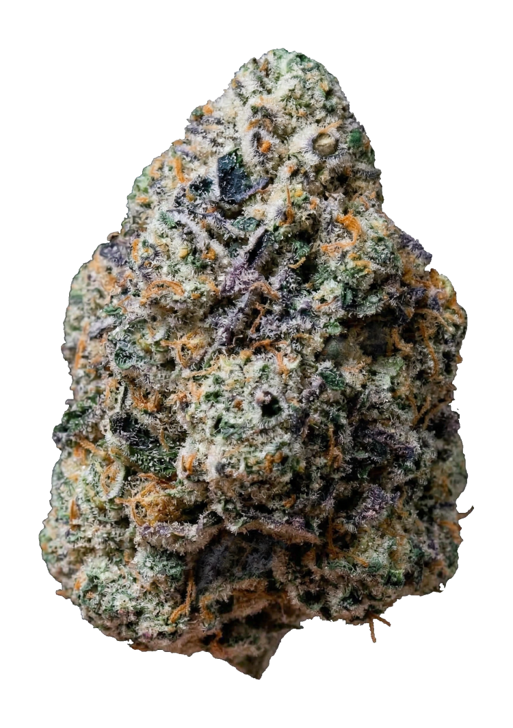 420 Fast Buds – Gary Sherbet (Feminized)