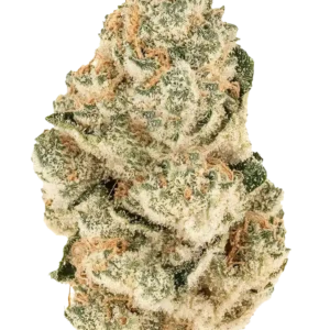 420 Fast Buds – Gorilla Melon (Feminized)
