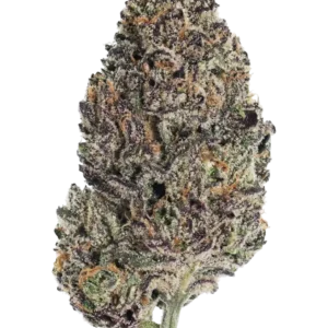 420 Fast Buds – Lemon Cherry Runtz (Feminized)