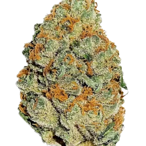 420 Fast Buds – Lemon Mandarin (Feminized)