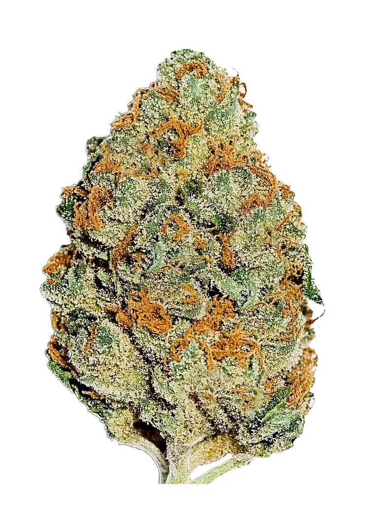 420 Fast Buds – Lemon Mandarin (Feminized)