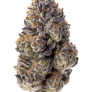 420 Fast Buds – Papaya Sherbet (Autoflower)