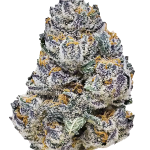 420 Fast Buds – Rainbow Melon (Autoflower)