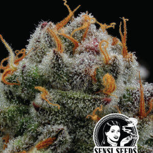 Humboldt Seed Co.