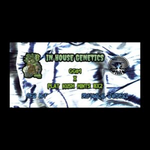 (Freebie) In House Genetics – GG #4 x Platinum Kush Mints Bx2 (Regular M/F)