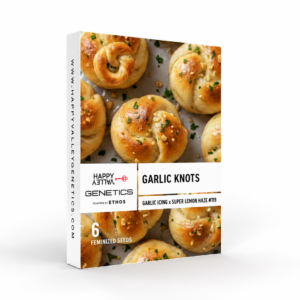 Happy Valley Genetics - Garlic Knots (Feminized)
