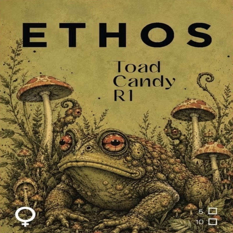 Ethos - Toad Candy R1 (Feminized)