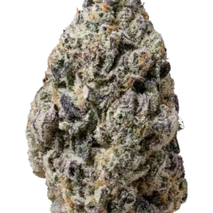 420 Fast Buds - Biscotti Gelato (Feminized)