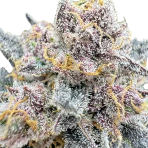 420 Fast Buds - Cherry Cola RF3 Auto (Feminized)