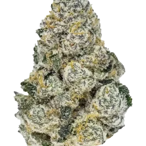 420 Fast Buds - Lemonpaya (Feminized)
