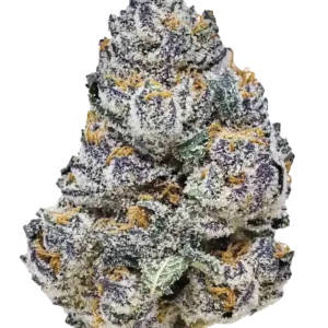 420 Fast Buds - Rainbow Melon (Feminized)